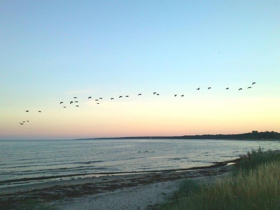 Osterlen-Sweden'S Finest Beach 150 M To The Sea Vila Borrby Exterior foto